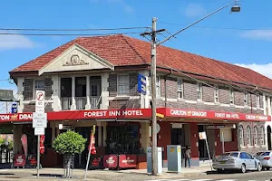 Forest Inn Hotel image