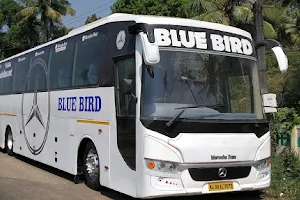 Blue Bird tours And Travels image