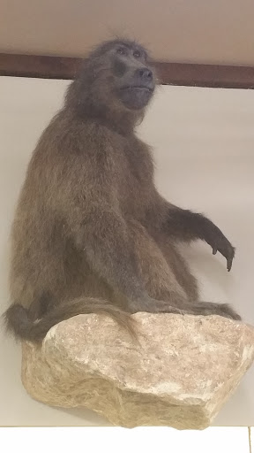 Sporting Goods Store «Keystone Outdoors», reviews and photos, 186 Path Valley Rd, Fort Loudon, PA 17224, USA