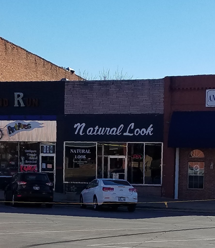 Natural Look Salon 73080