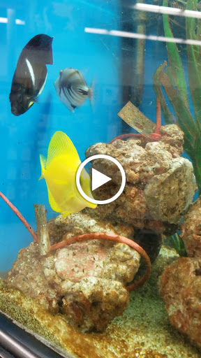 Pet Supply Store «Petco», reviews and photos, 369 S Weber Rd, Romeoville, IL 60446, USA