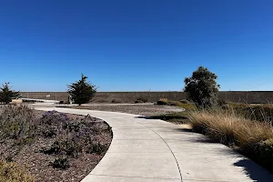 Shorebird Park image