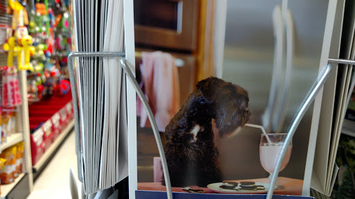 Pet Supply Store «Market Place Pet Supplies», reviews and photos, 7200 Dixie Hwy, Village of Clarkston, MI 48346, USA