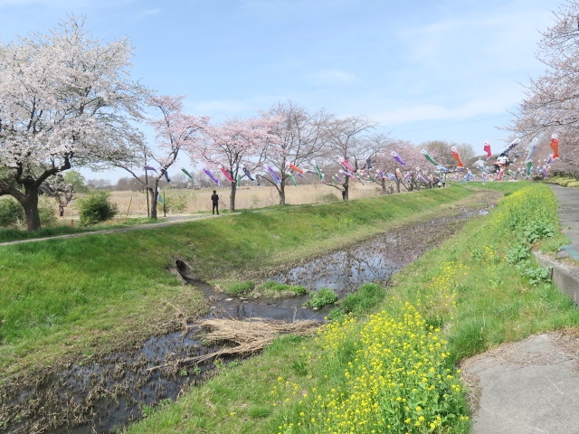 茂林寺公園 駐車場