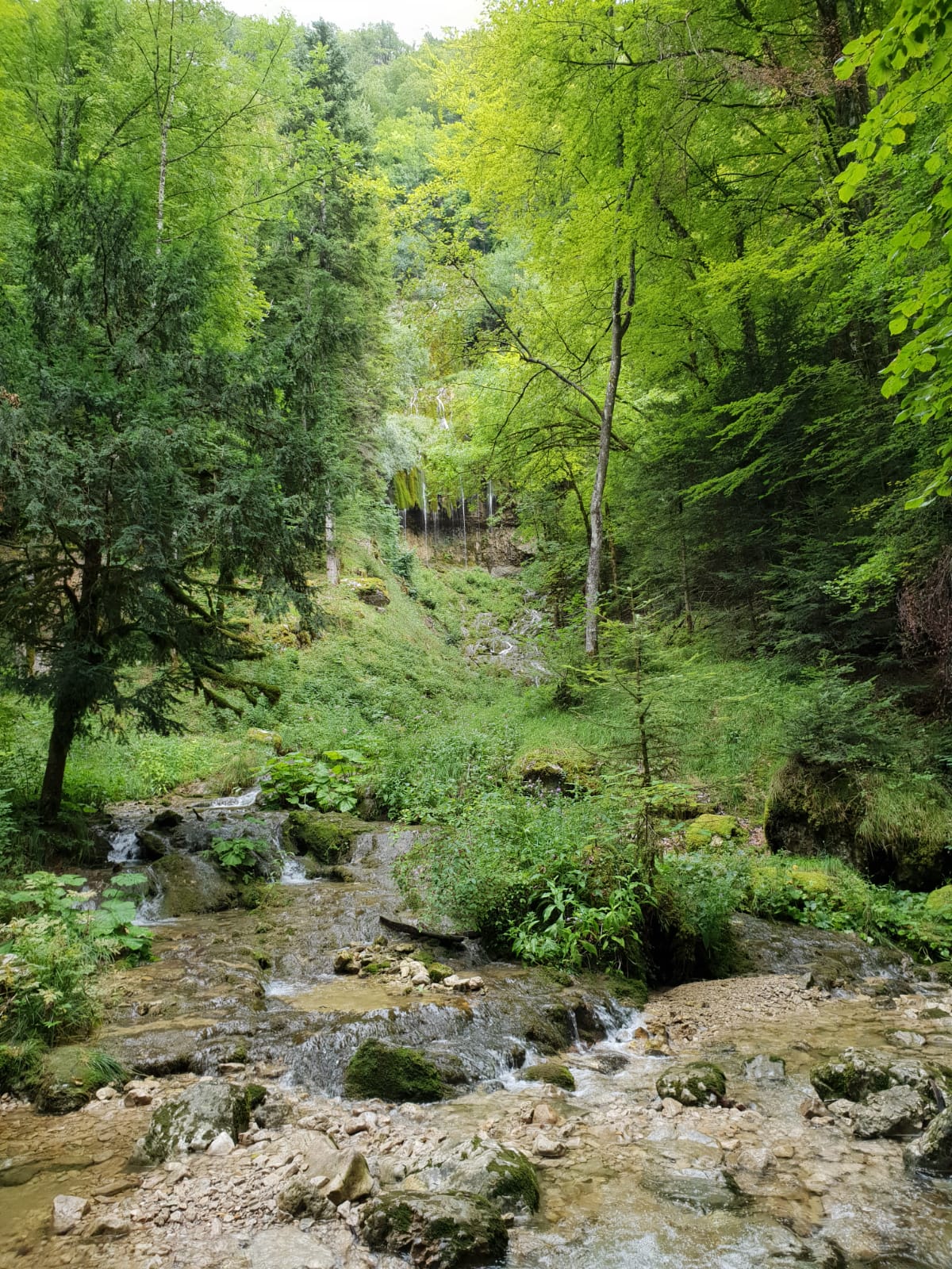 Photo n° 8 de l'avis de totof.h fait le 22/08/2019 à 14:27
