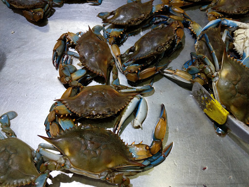 Asian Grocery Store «99 Ranch Market», reviews and photos, 131 W Spring Creek Pkwy, Plano, TX 75023, USA