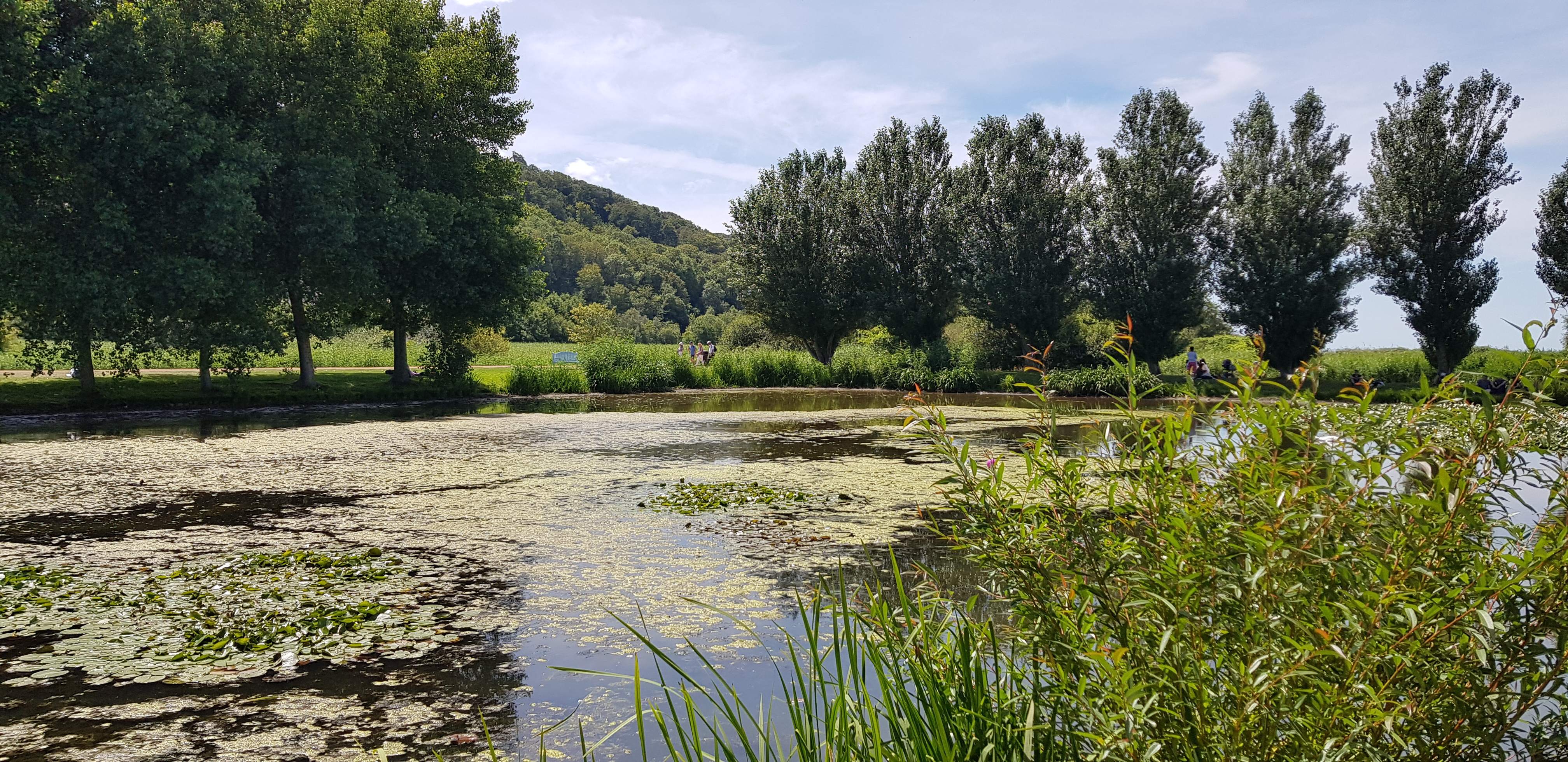 Photo n° 5 de l'avis de Stephane.o fait le 12/07/2020 à 19:25