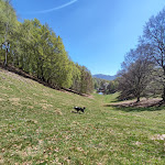 Photo n°2 de l'avis de LORY. fait le 14/04/2024 à 17:20 sur le  Agriturismo La Pratolina, Alpe Comana à Schignano