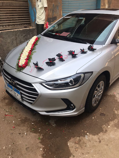 Alnhal car
