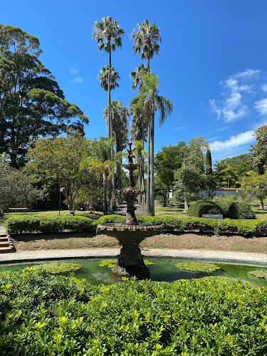 Comentarios y opiniones de Jardín Botánico de Montevideo