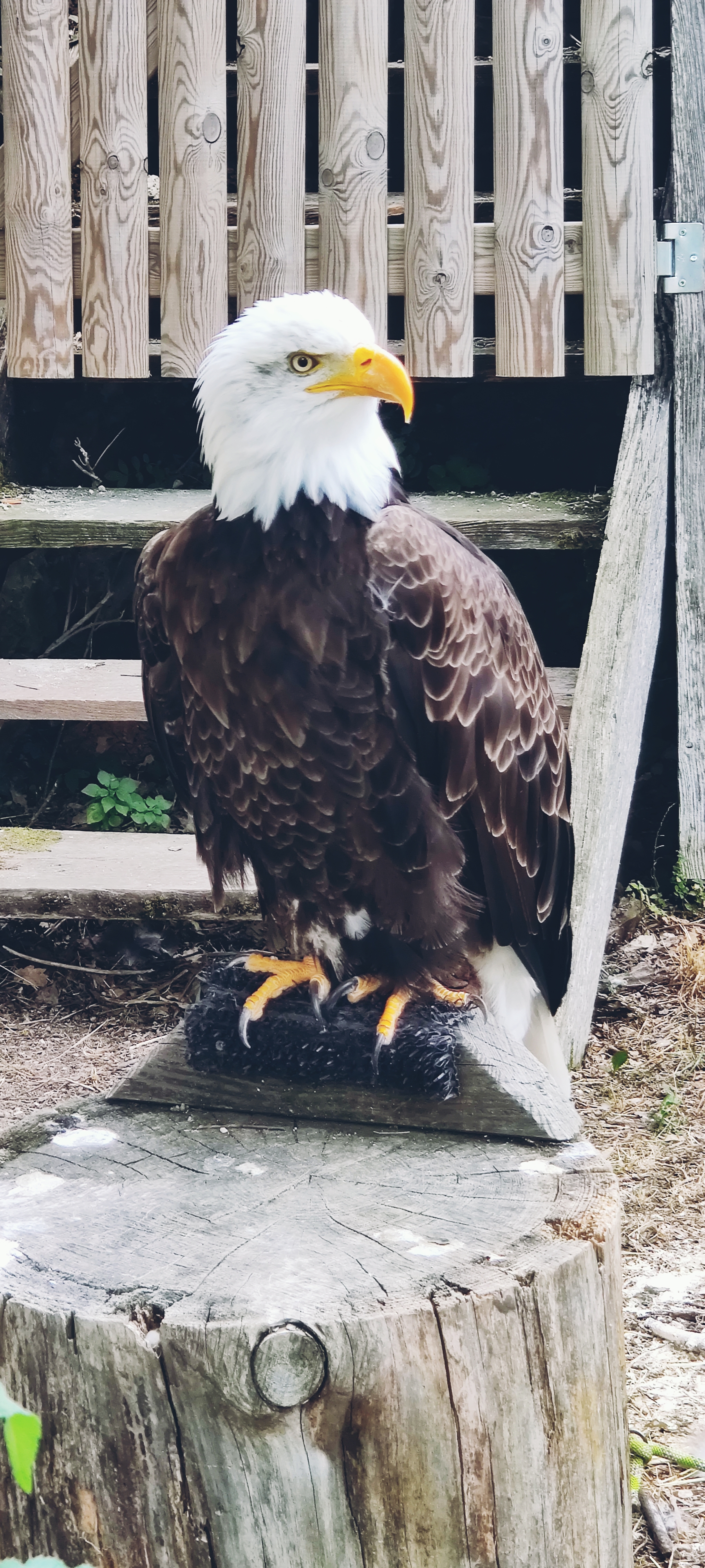 Photo n° 2 de l'avis de Olivier.e fait le 26/07/2022 à 18:14