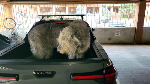 Hyundai Dealer «Hyundai of Greeley», reviews and photos, 4533 W 29th St, Greeley, CO 80634, USA