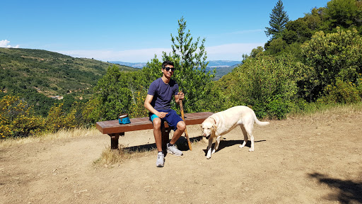 Uvas Canyon County Park image