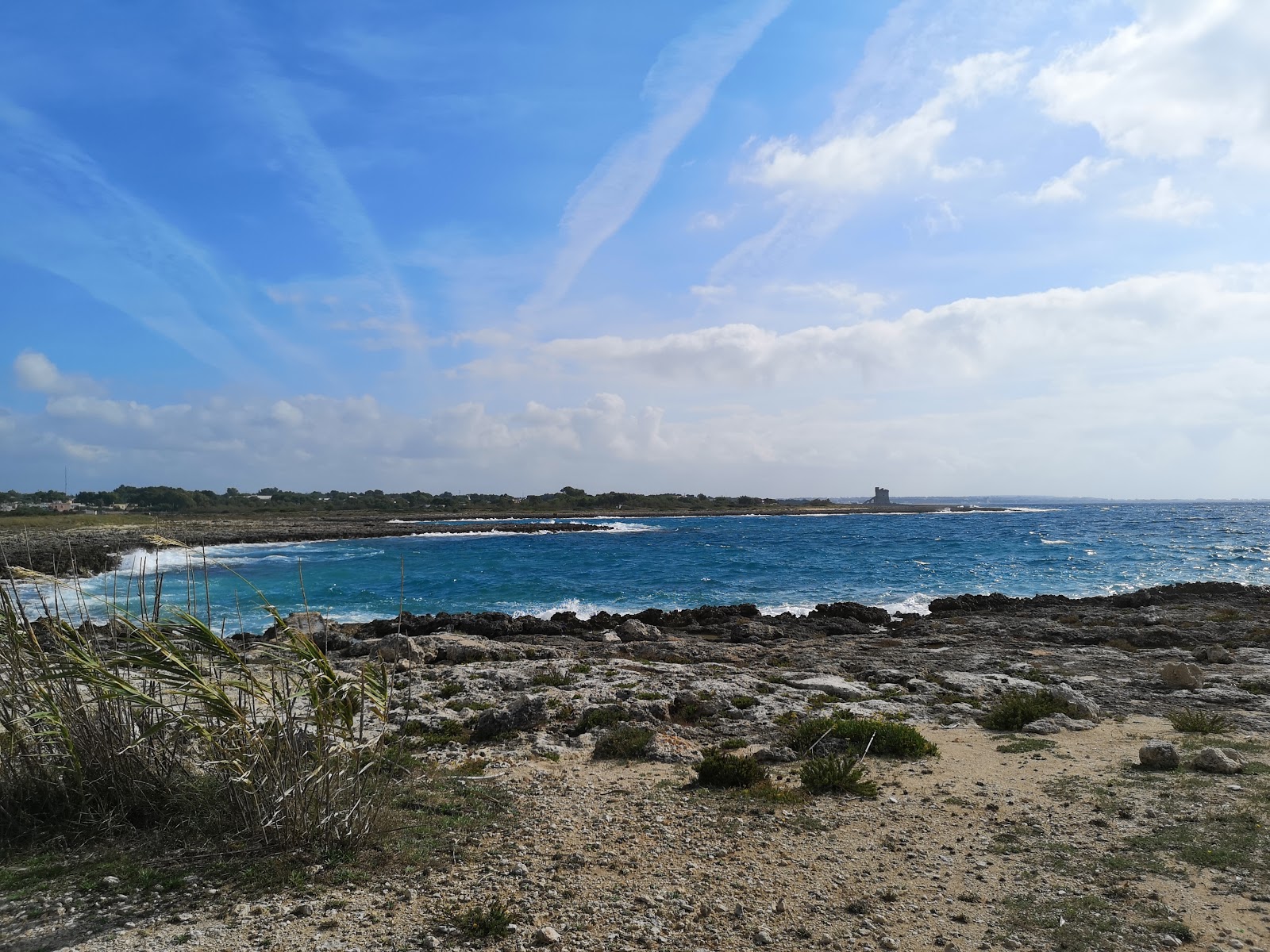 Foto van Scianuli Beach met enigszins schoon niveau van netheid