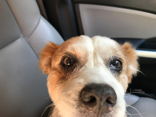 1365 Bodega Ave, Bodega Bay, CA 94923, USA