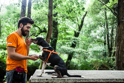 Budadog en Aldea Coira