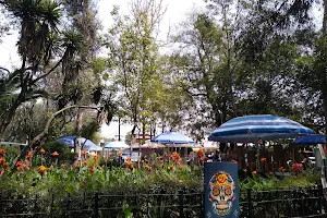 Allende Garden image