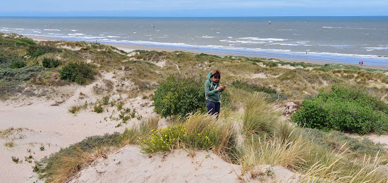 Groenendijk Strand