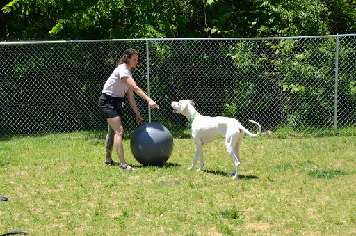 Dog Trainer «Mad 4 My Dog», reviews and photos, 702 E Temperance St, Ellettsville, IN 47429, USA