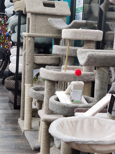 Pet Supply Store «Pet Supermarket», reviews and photos, 14044 Grant Rd Ste 200, Cypress, TX 77429, USA