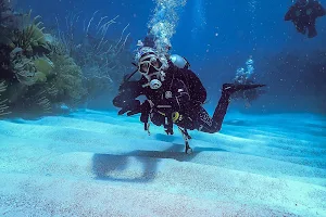 Dive Bermuda Somerset image
