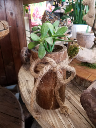 Florist «Little Flower Shop», reviews and photos, 616 High St, Delano, CA 93215, USA