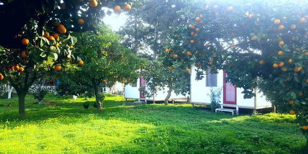 Bodrum Ecofarm Kamp & Hostel