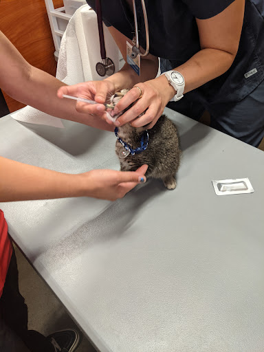 Pet Supply Store «PetSmart», reviews and photos, 8014 Old Carriage Ct, Shakopee, MN 55379, USA