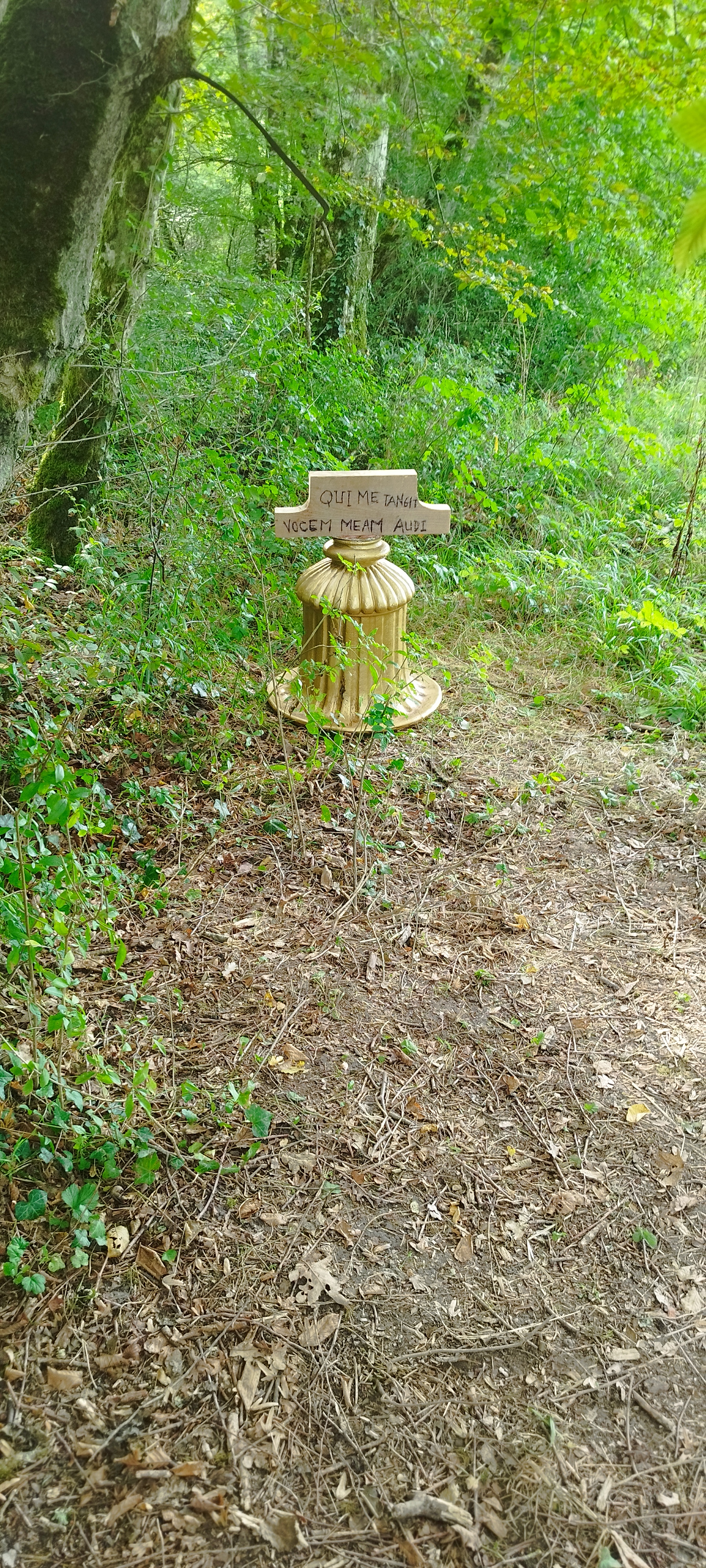 Photo n° 23 de l'avis de Pat.t fait le 17/08/2023 à 08:27