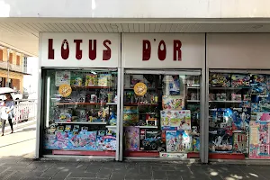 Lotus D'or & Co. Ltd. image