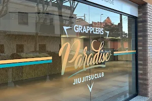 Grapplers Paradise image