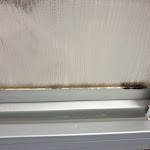 Photo n°2 de l'avis de Carina.a fait le 25/02/2020 à 08:17 sur le  Tannenpark Freizeit GmbH à Tanne