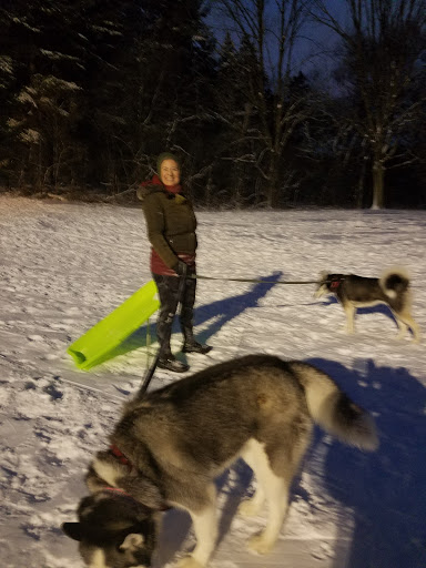 Public Golf Course «Currie Park Golf Course», reviews and photos, 3535 N Mayfair Rd, Wauwatosa, WI 53222, USA