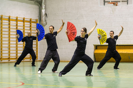 NOFØDRA - Chinese Martial Arts and Qi Gong in Oslo