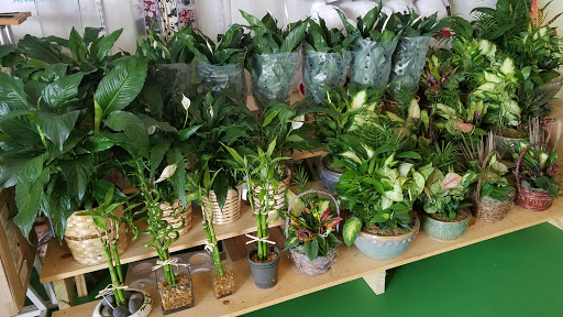 Florist «Artistic East Orlando Florist», reviews and photos, 9906 E Colonial Dr, Orlando, FL 32817, USA