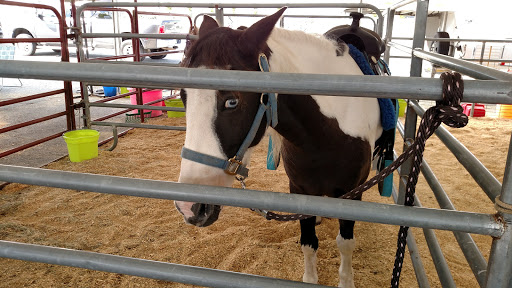 Event Venue «Greensboro Coliseum Complex», reviews and photos, 1921 W Gate City Blvd, Greensboro, NC 27403, USA