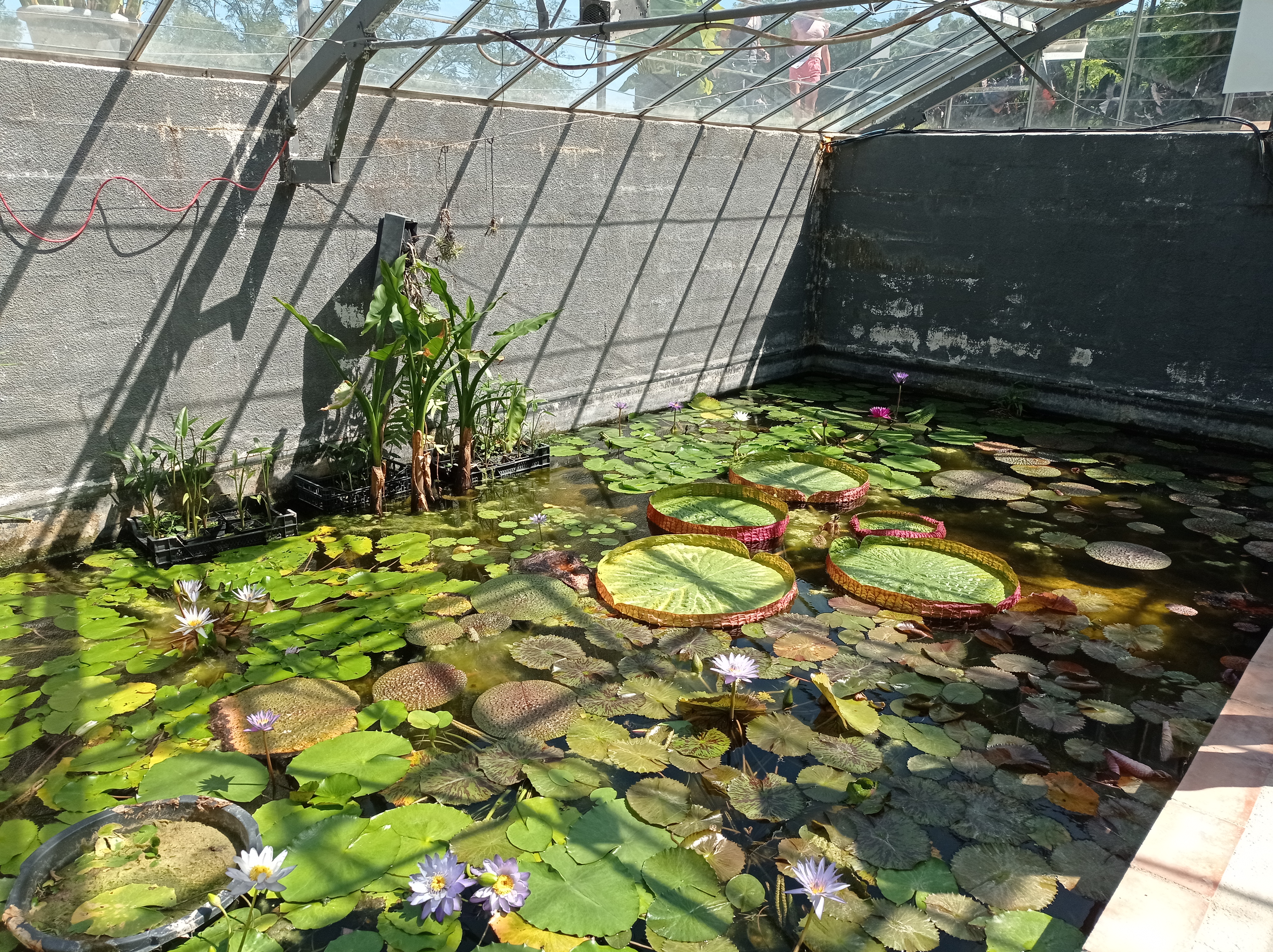 Photo n° 4 de l'avis de SIP. fait le 29/08/2021 à 15:55