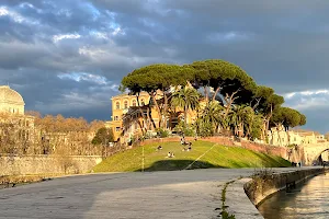 Ospedale Gemelli Isola Medicina image