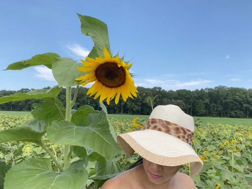 Fruit and Vegetable Store «Henley Farm», reviews and photos, 3513 Charity Neck Rd, Virginia Beach, VA 23456, USA