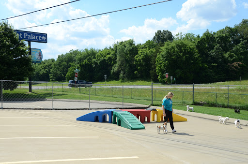 Pet Boarding Service «Pet Palace», reviews and photos, 2803 Trough Springs Rd, Clarksville, TN 37043, USA
