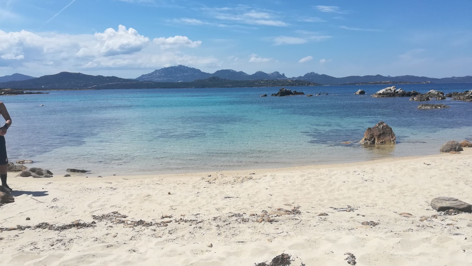 Foto di Caletta delle tartarughe - luogo popolare tra gli intenditori del relax