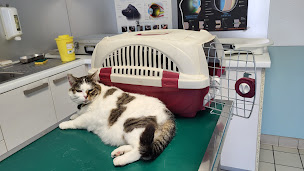 Photo n°3 de Clinique vétérinaire St Jacques à Agen ()