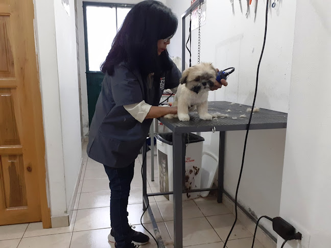 Veterinaria & Peluqueria Canina, Dr. Angel Becerra, Peluqueria Canina, Emergencias Veterinarias, Cirugías - Quito