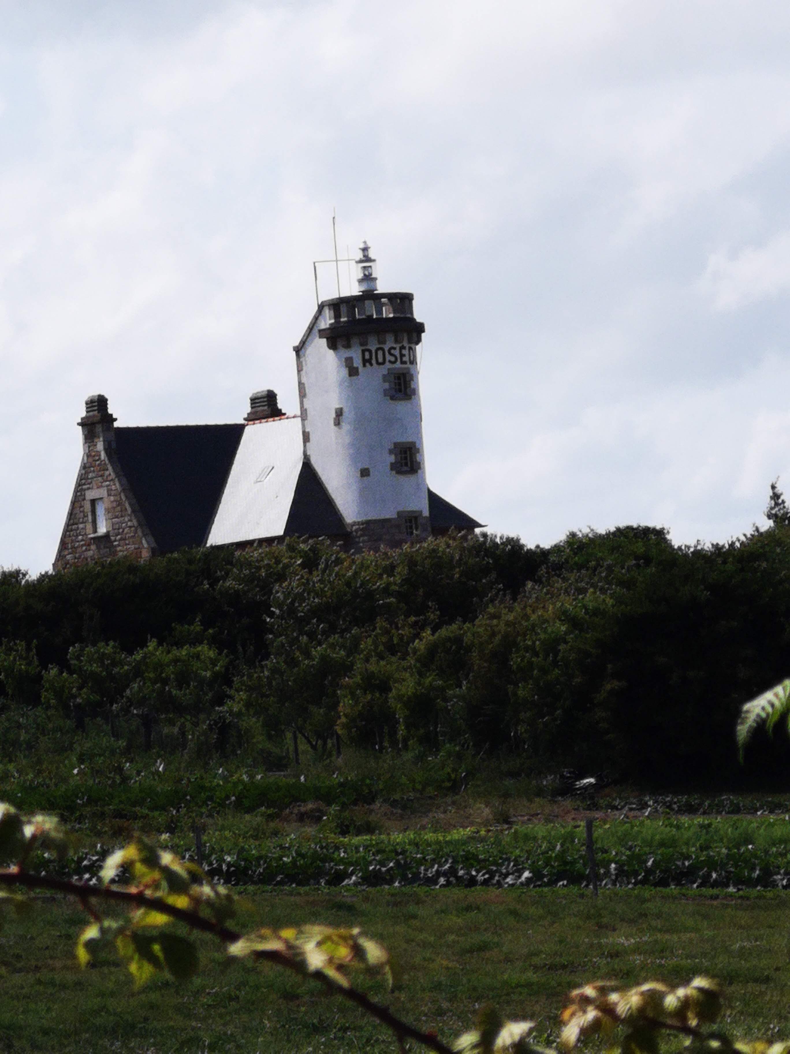 Photo n° 1 de l'avis de stéphane.u fait le 12/08/2019 à 11:10