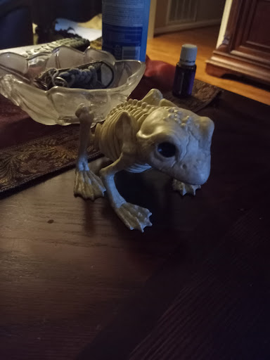 Hardware Store «Spring Ace Hardware», reviews and photos, 1721 Spring Cypress Rd, Spring, TX 77388, USA