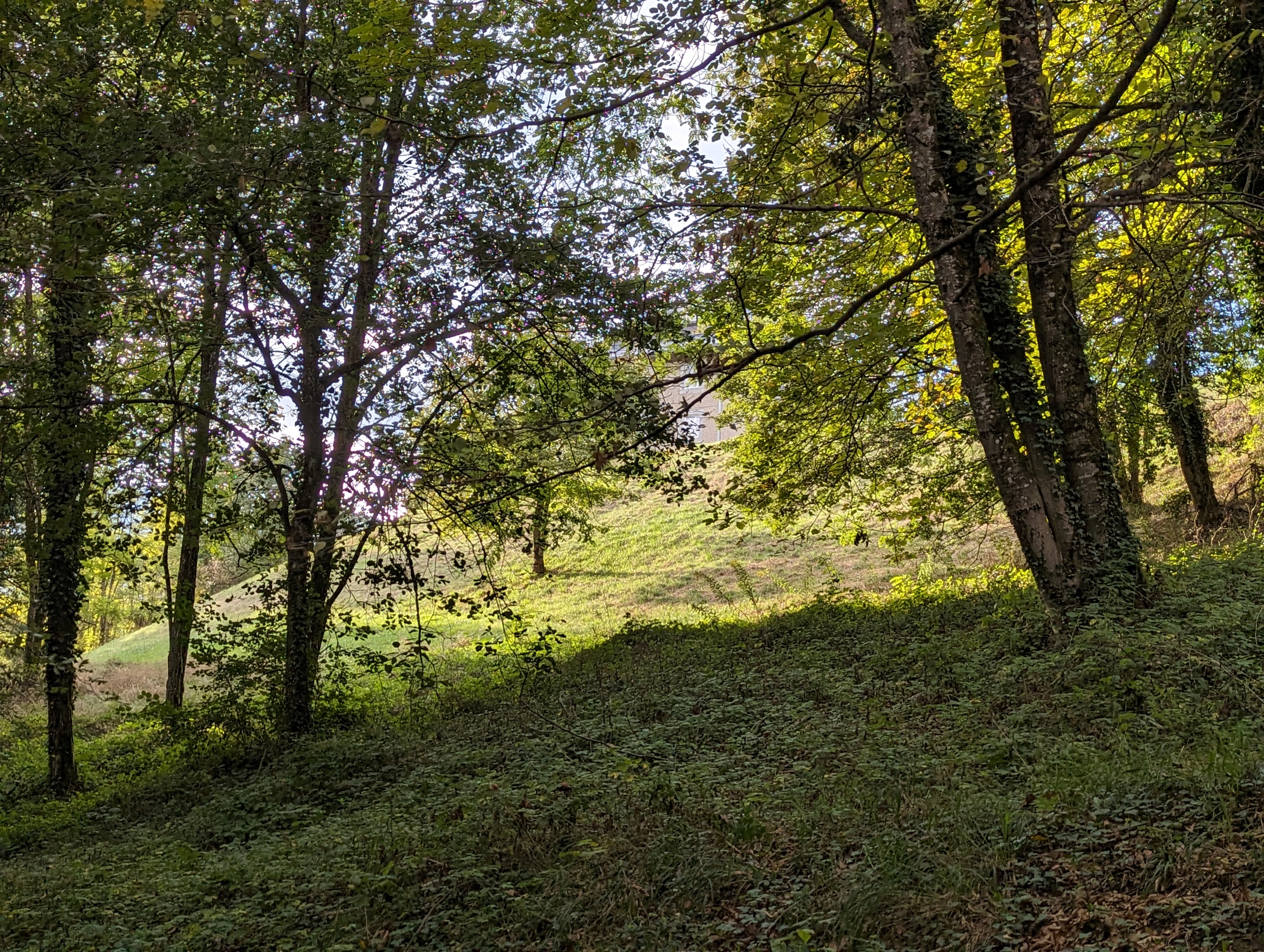 Photo n° 6 de l'avis de Irène.. fait le 15/09/2023 à 10:01