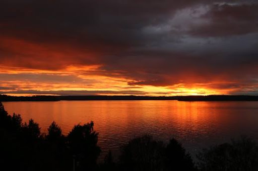 Gift Shop «Alki Surf Shop», reviews and photos, 2622 Alki Ave SW, Seattle, WA 98116, USA