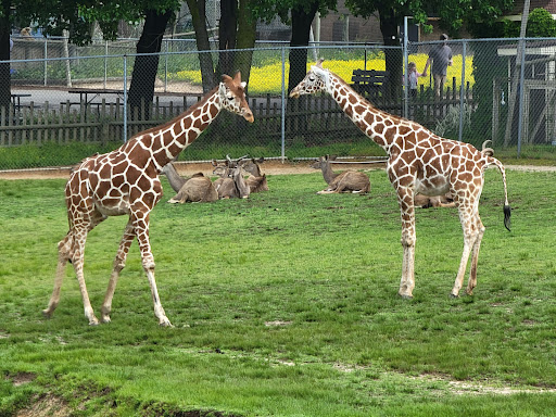 Zoo «Metro Richmond Zoo», reviews and photos, 8300 Beaver Bridge Road, Moseley, VA 23120, USA
