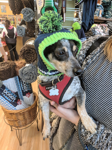 Pet Supply Store «All The Best Pet Care», reviews and photos, 1909 NW Market St, Seattle, WA 98107, USA