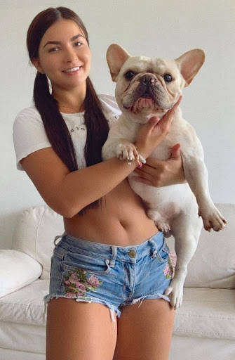 Grocery Store «Super Mercados El Guero», reviews and photos, 850 N Farnsworth Ave, Aurora, IL 60505, USA